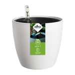 all-in-1 brussel rond 25 + swi 24 blanc